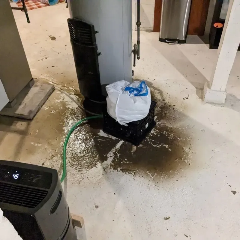 Sewage Backup Cleanup Service in Ashford, AL